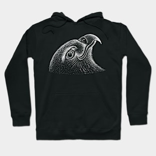 Eagle raven crow eagles US USA falcon magic t shirt t-shirt Hoodie